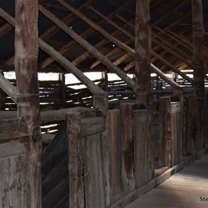 Mungo Woolshed 