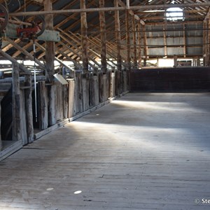 Mungo Woolshed 