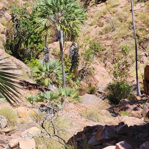 Spring Creek