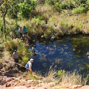 Spring Creek