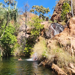 Spring Creek