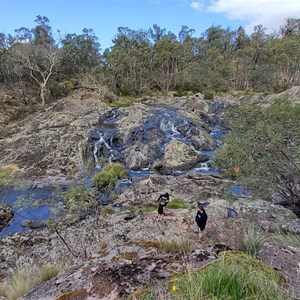 Little River at the Picnic Area