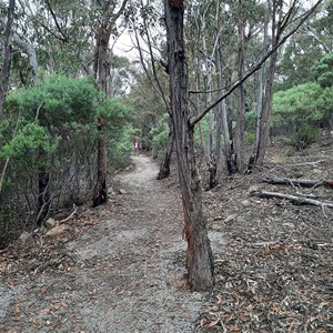 Track to lookout