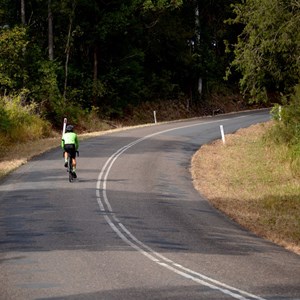 Bobin Cyclist