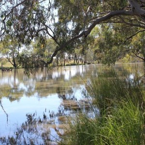 Bogan River at Peak Hill Wier