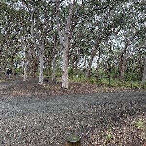 Stewart & Lloyds Camp Area