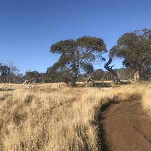 Hut  Off Dargo High Plains Rd