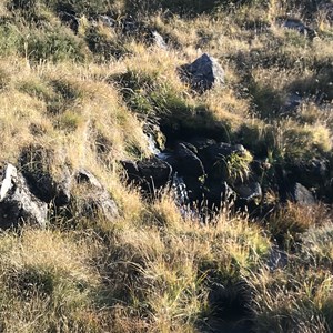 Hut  Off Dargo High Plains Rd