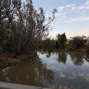 Hillston  Lachlan River