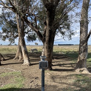 Ben Hall Place