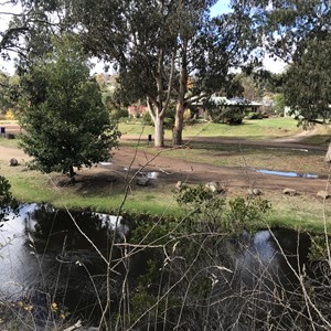 Overnight stop in Omeo near creek