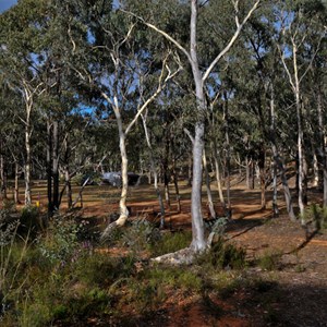 Hill End Glendora Camping Ground