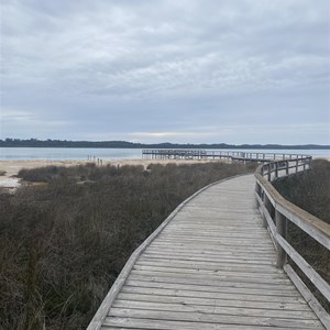 Lake Clifton Thrombolites