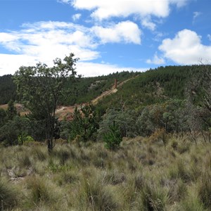 Old mine workings