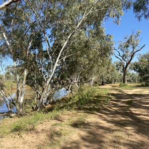 Mayne River Camp