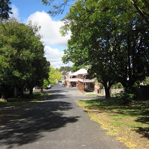 Leafy streets