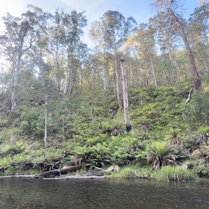 Wattle Flat Camping Area