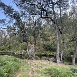 Lower Wattle Flat Camping Area