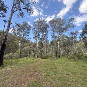 Hyatts Flat Camping Area