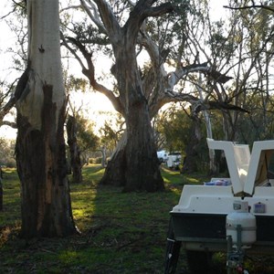 Maude free camping area beside the Murrumbidgee River