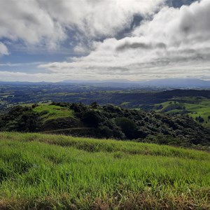 View to Mt Bartle Frere