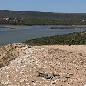 Castle Rock Lookout