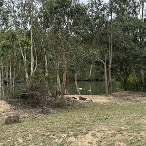 Blencoe Falls Camping Area