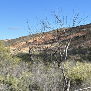 White Range Cemetery