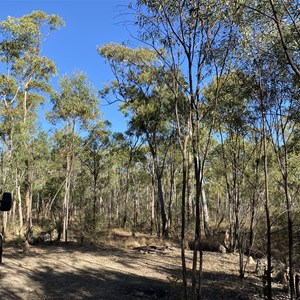 Wundt Campground Qpws