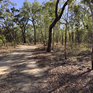 Wundt Campground Qpws