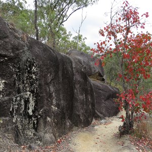 Track to falls