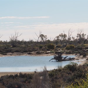 Yaningurie Waterhole July 2021