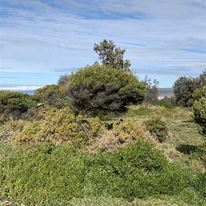 Cliff