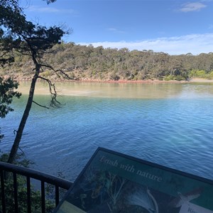 View Point