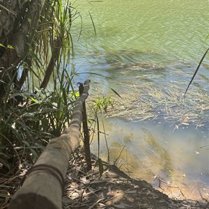 Mountain Creek Campground