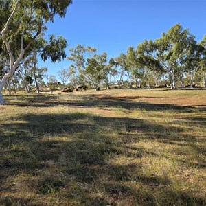 Dajarra Waterhole