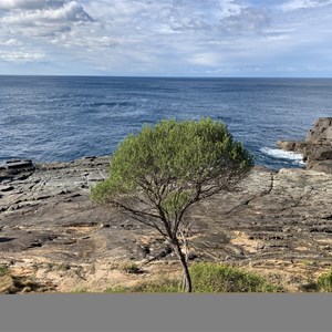 Pulpit Rock