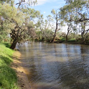 Possum Waterhole