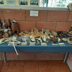 Display items