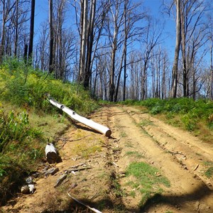 Track conditions near summit