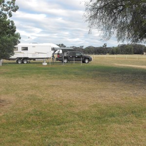 yerong creek shire camp