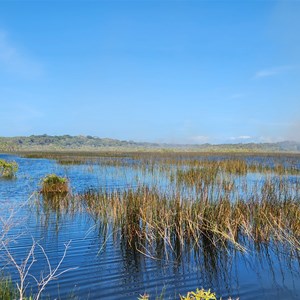 Lake Wicheura