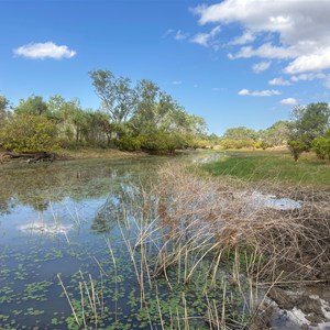 Woorrilbem / Cockatoo Lagoon