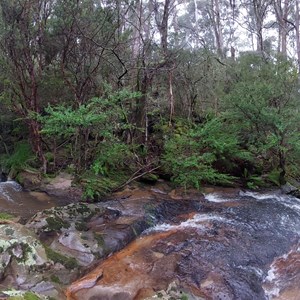 Water Fall Coghils