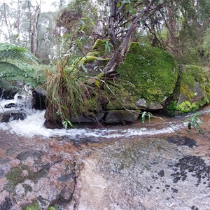 Water Fall Coghils