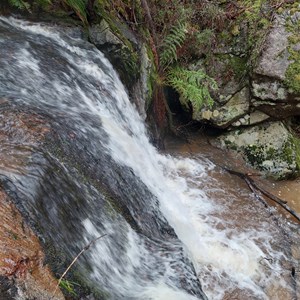 Water Fall Coghils