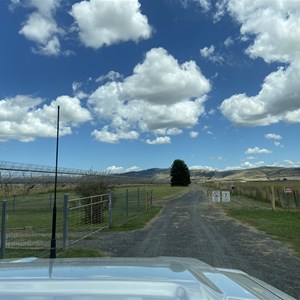 Mills Cross Radio Telescope