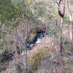 Black Jack Track Water Fall