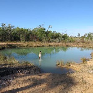 The pool May 2022