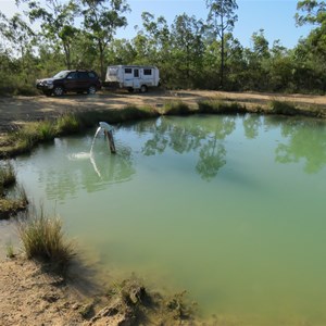 Poolside camping